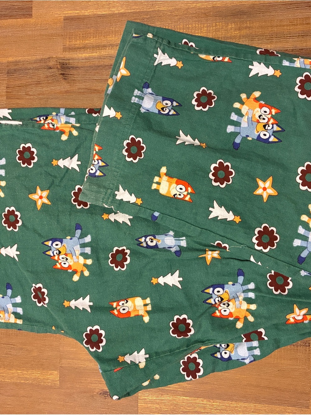 Hanna Anderson Family Bluey Set